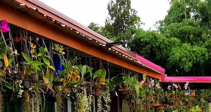 Phulunngkhawiew Homestay