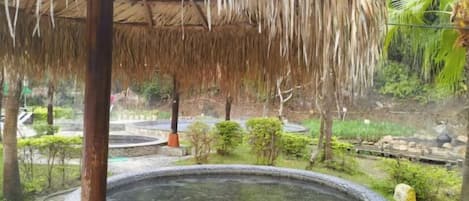 Una estructura con techo de paja y un estanque circular en un jardín ajardinado.