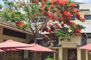 A building with a tree with red flowers, a door with a poster, and red umbrellas.