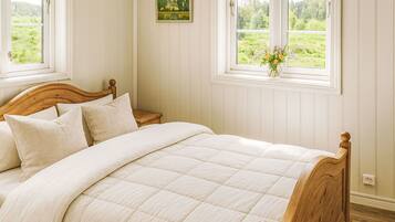 3 chambres, fer et planche Ă repasser