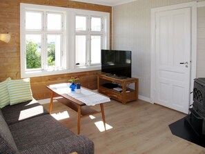 Tv, eldstad och dvd-spelare