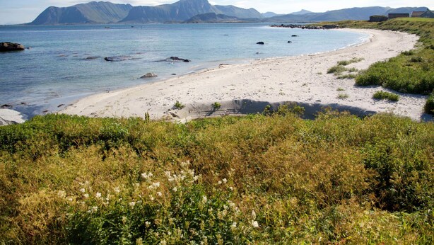 Un paisaje costero con una playa arenosa, afloramientos rocosos y montañas distantes bajo un cielo despejado.