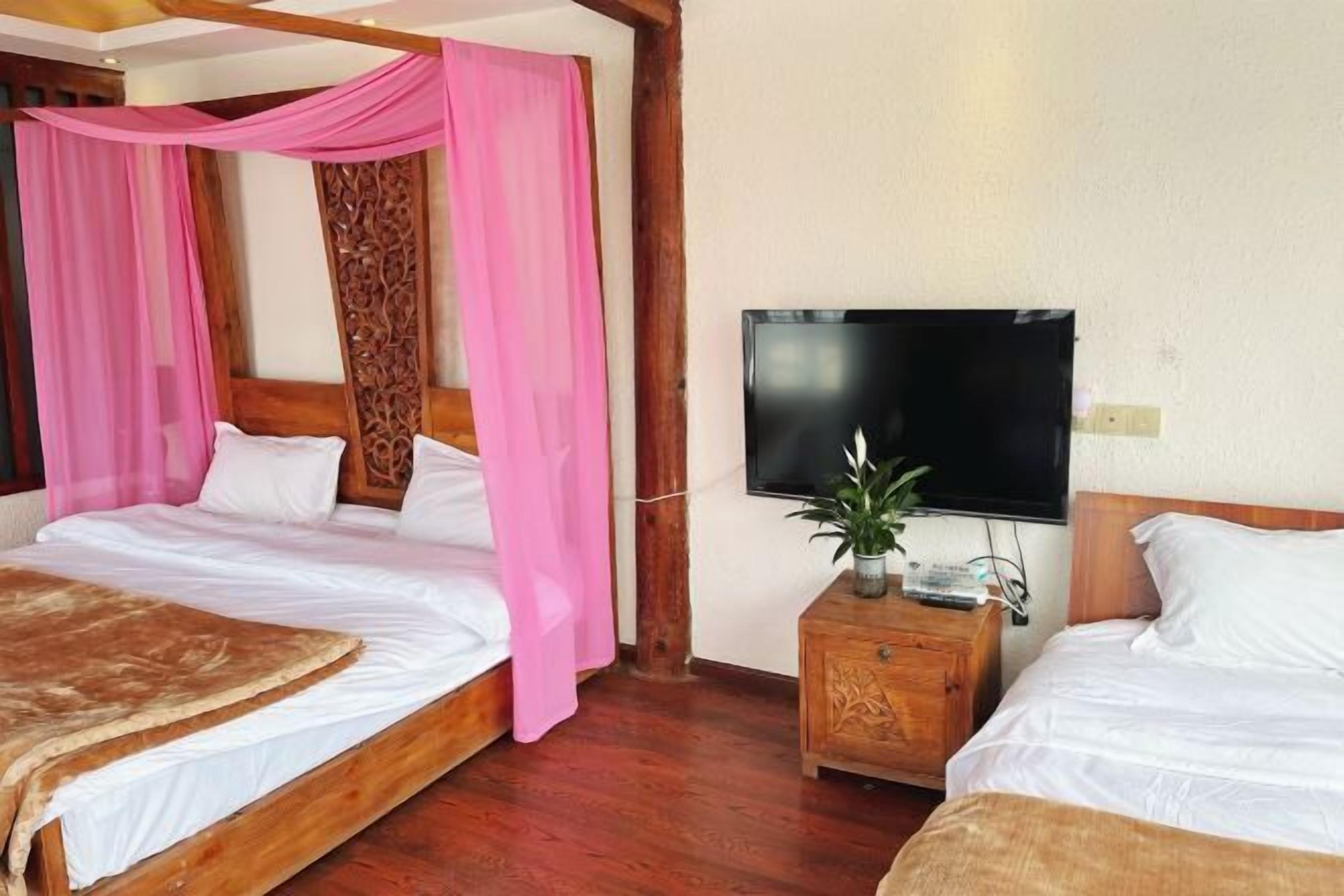 A room with two beds, one with a canopy and one without. There is a TV on a wooden stand and a small table with a plant.