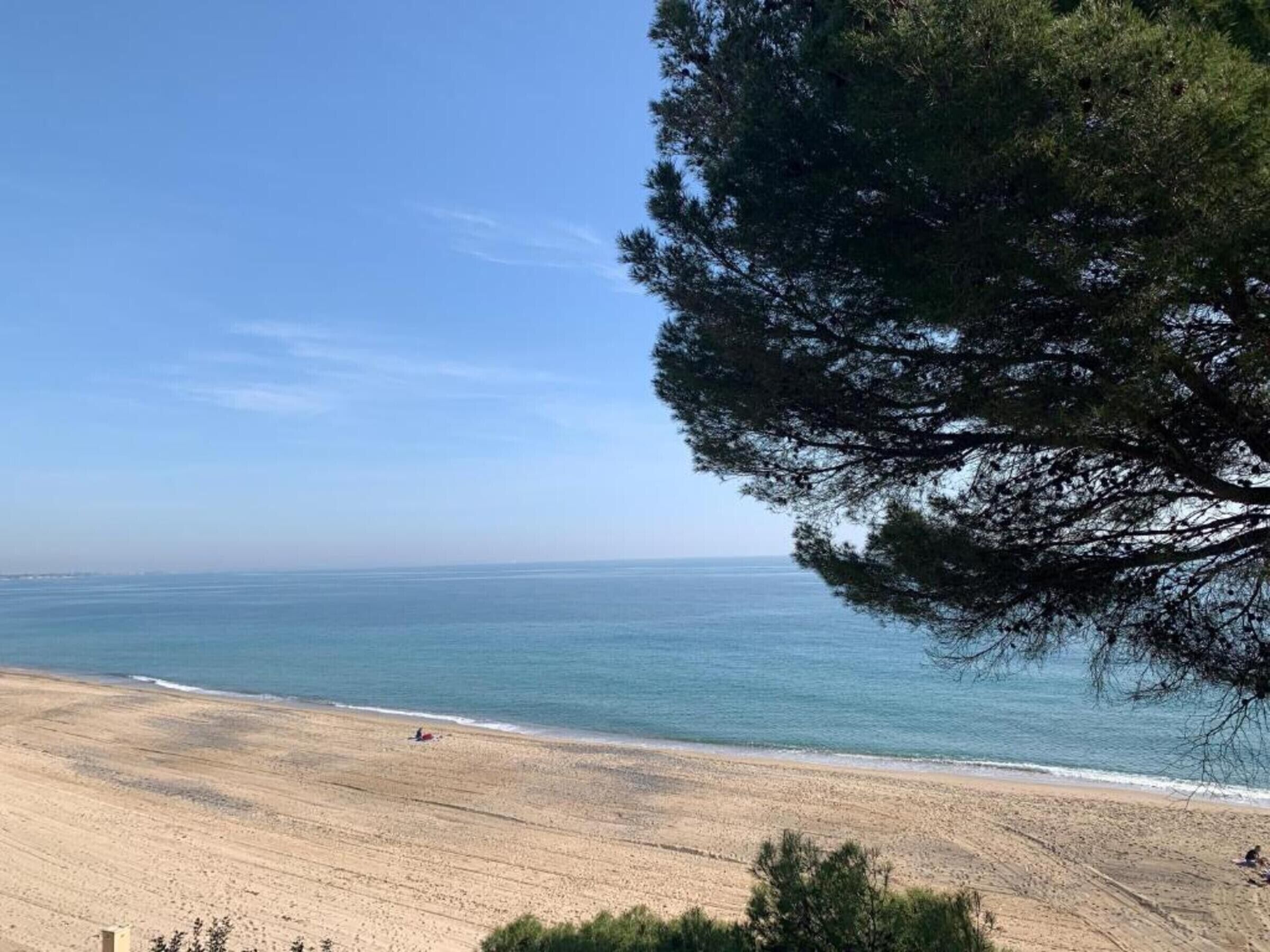 Vlak bij het strand