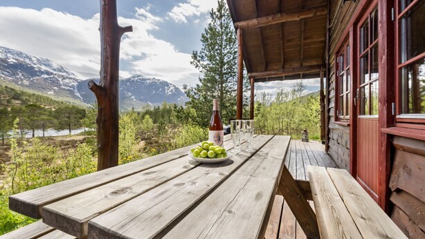 Een houten tafel met een fles wijn, glazen en een schaal druiven, met uitzicht op een bergachtig landschap vanaf een terras.