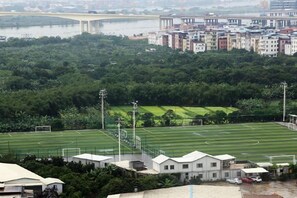 Um campo de futebol com um estádio ao fundo, cercado por vegetação e edifícios.
