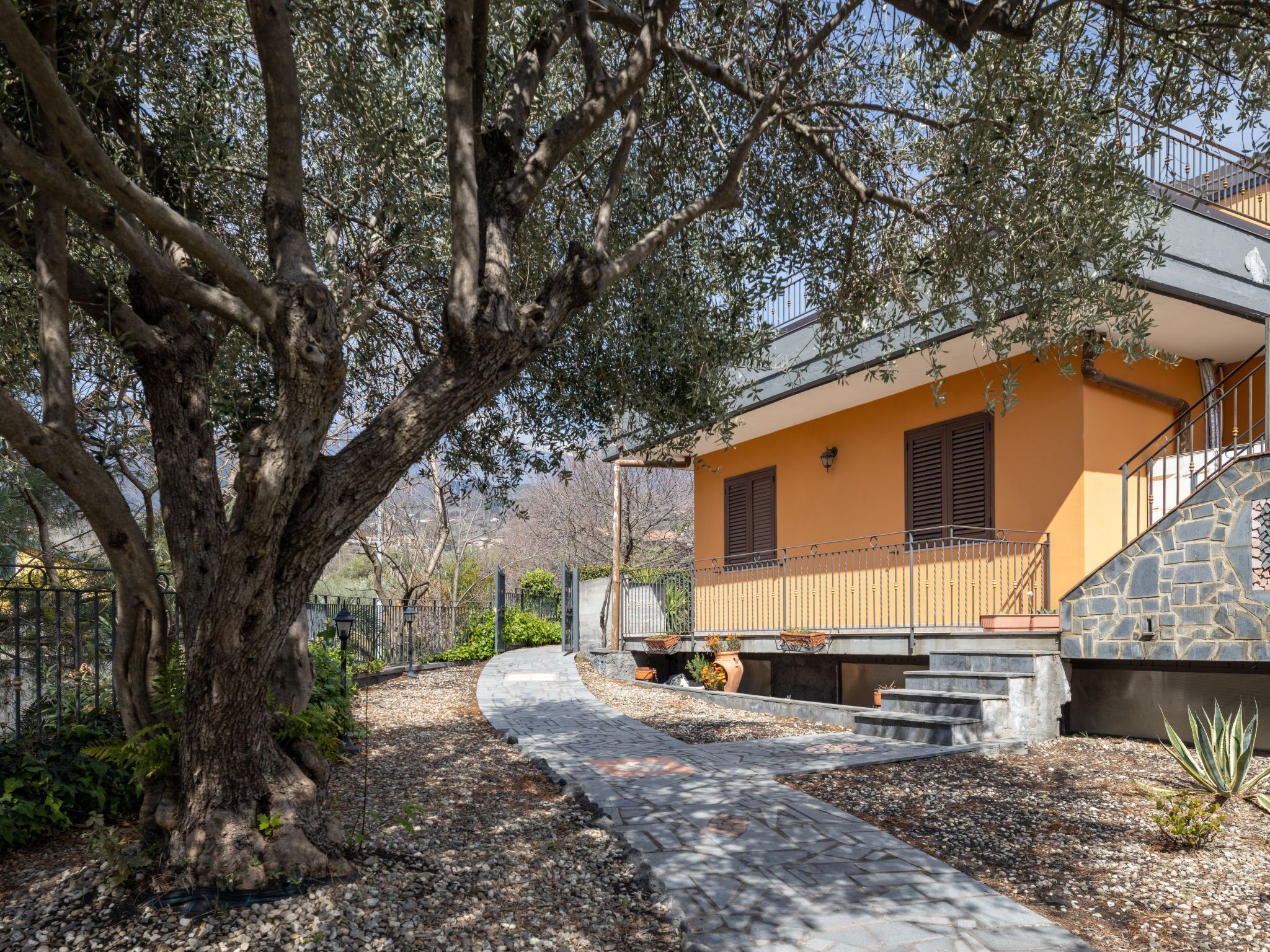 Ein Haus mit einer Steintreppe, einem Weg und einem großen Baum im Vordergrund.