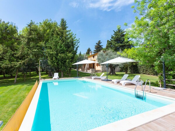 A rectangular swimming pool with a wooden deck, surrounded by lush greenery and trees.