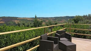 A terrace with wicker furniture overlooking a vineyard.