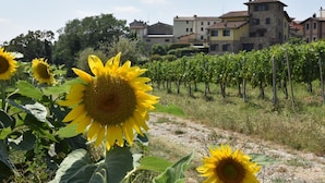 A vineyard with rows of grapevines and a few sunflowers in the foreground. In the background, there are multi-story buildings with a mix of architectural styles. - La Corte Bricca (Bilo C) by Interhome (Oltrepò Pavese)