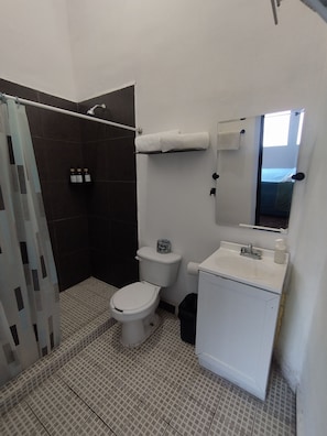 Apartment, 1 Bedroom, Non Smoking | Bathroom
