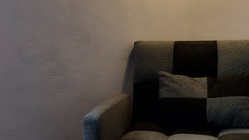 商務雙人房單人入住, 1 間臥室, 非吸煙房 | 起居區 | 32-吋平面電視、數位頻道、電視、地暖系統