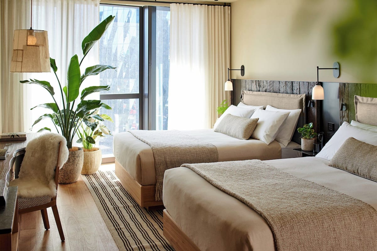 Habitación de hotel con dos camas, una planta grande en maceta, una silla y vistas a través de una ventana.