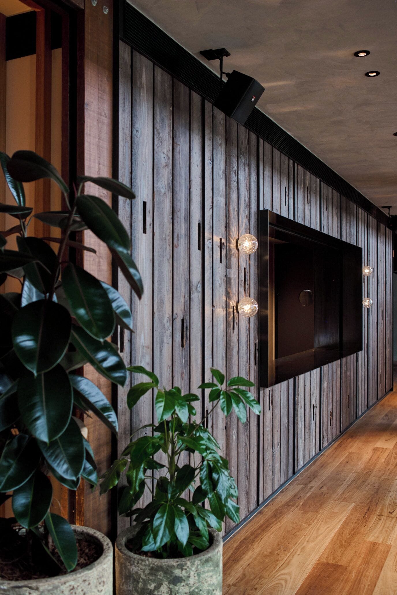 A hallway with wooden paneling, a mounted TV, and potted plants.