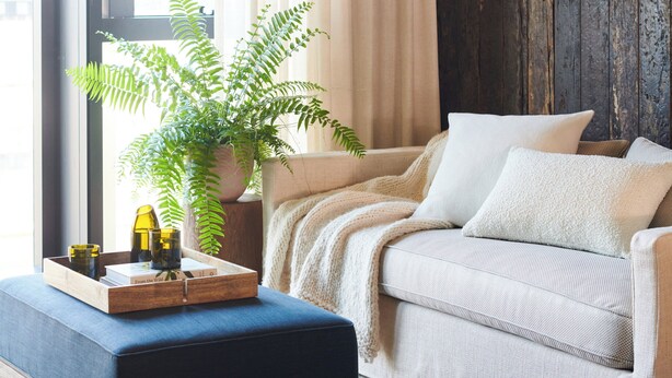 A modern bedroom with a large window, a wooden floor, a sofa, a bedside table, and a potted plant.