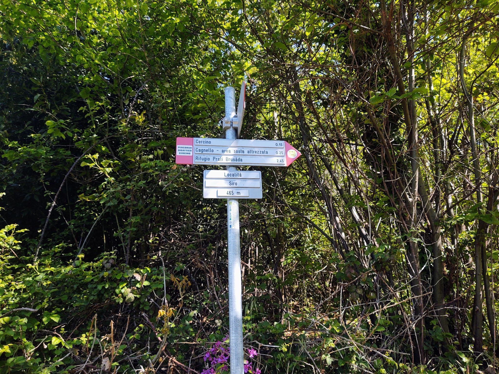 En vägskylt med flera pilar som pekar åt olika håll, omgiven av tät vegetation.