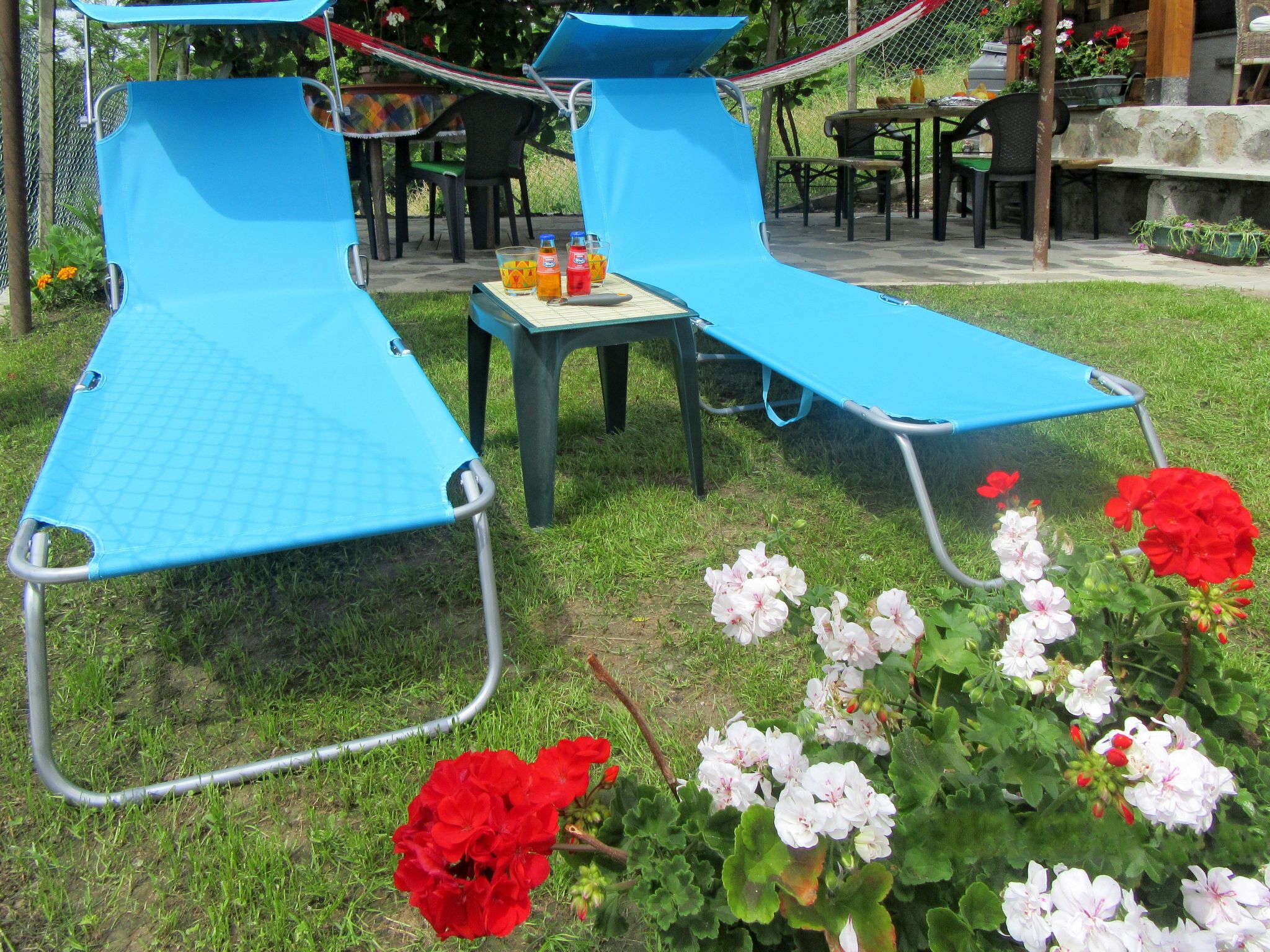 Two blue lawn chairs with metal frames, a small table with drinks, and a garden with red and white flowers.