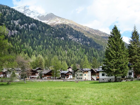 A mountain village with traditional wooden houses, a grassy field, and a backdrop of snow-capped mountains.