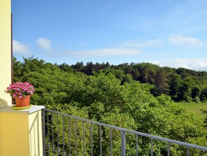 Property grounds - Faggio (SBO101) by Interhome (San Bartolomeo del Bosco)