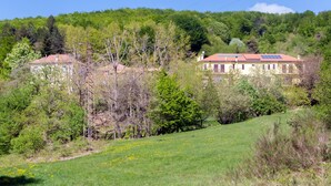 Un paysage rural avec deux maisons entourées de verdure et un champ herbeux.