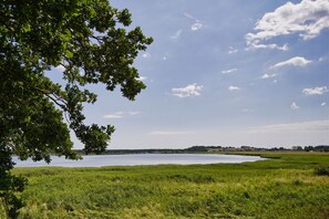 Une vue sur le lac, avec une étendue d’herbe au premier plan, un arbre à gauche et, au loin, une rive parsemée de bâtiments.