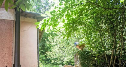 Serena (COX100) by Interhome