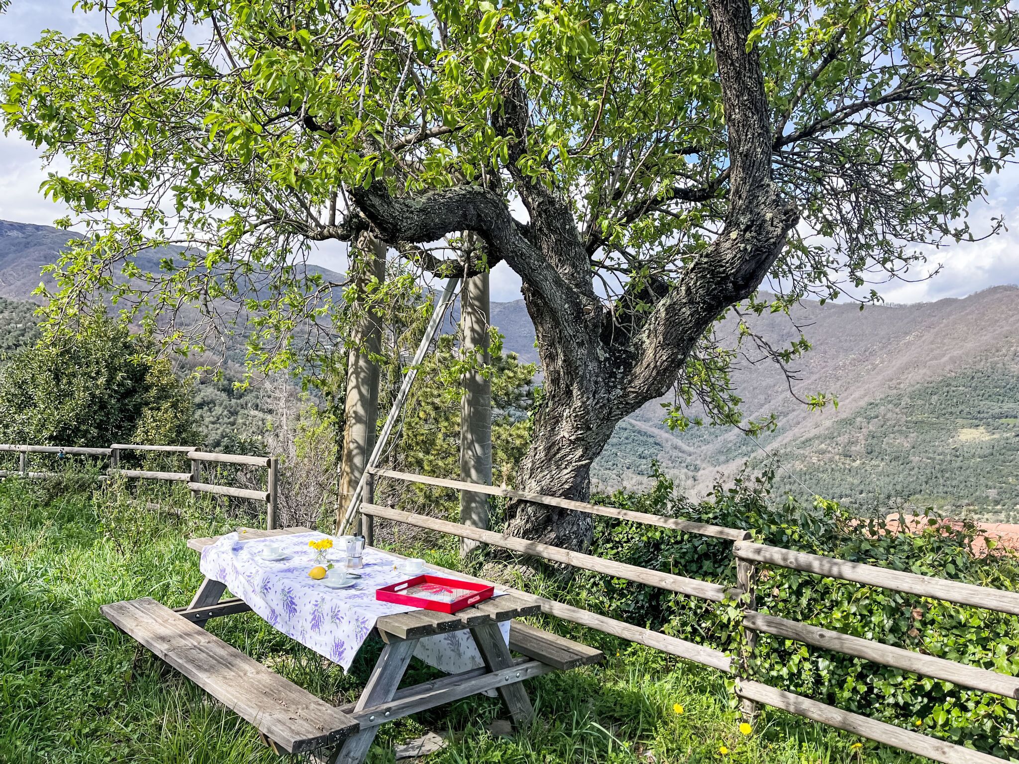 Ein Picknickplatz mit Tisch und Bänken, umgeben von einem Holzzaun und einem großen Baum.
