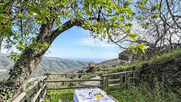 A picnic table set up under a tree with a view of distant hills. - Ca' da Ciassa + Prima Porta (VLO132) by Interhome (Valloria)