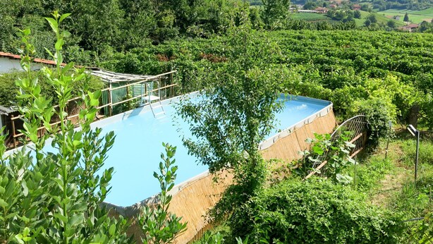 Una piscina rodeada de exuberante vegetación y viñedos.