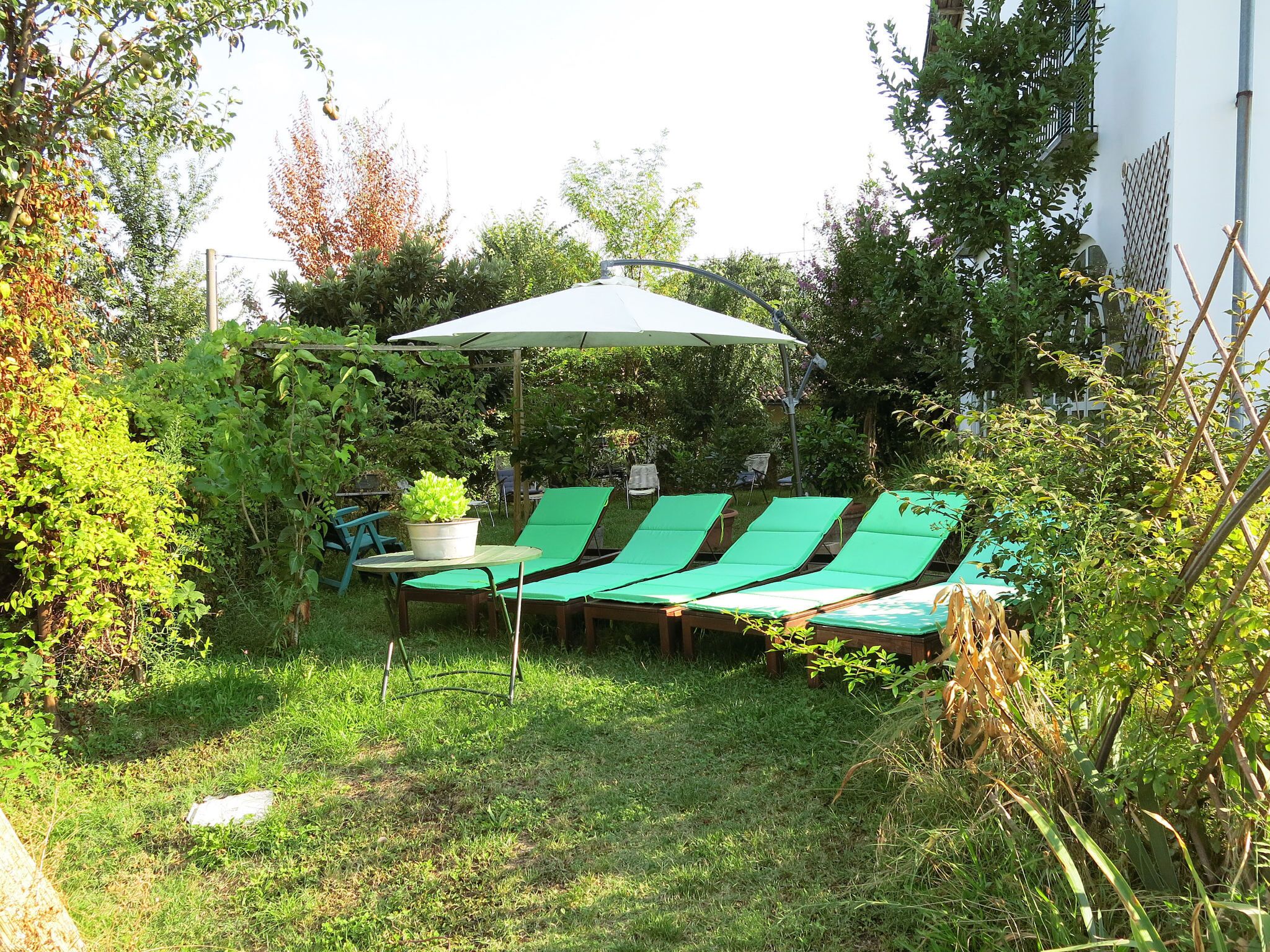 Un espace extérieur aménagé avec des fauteuils de jardin verts et une table placée sous un parasol blanc, le tout entouré d’une végétation luxuriante.