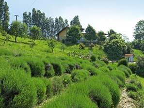 Property grounds - La Rovere by Interhome (Cossano Belbo)