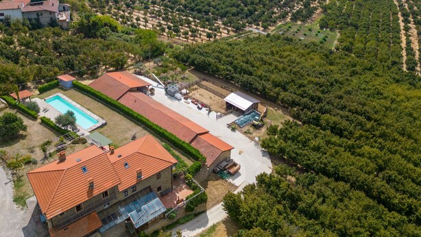 Eine Vogelperspektive zeigt ein Weinberg mit Reihen von Weinreben, einen Swimmingpool und ein Gebäude mit rotem Dach.