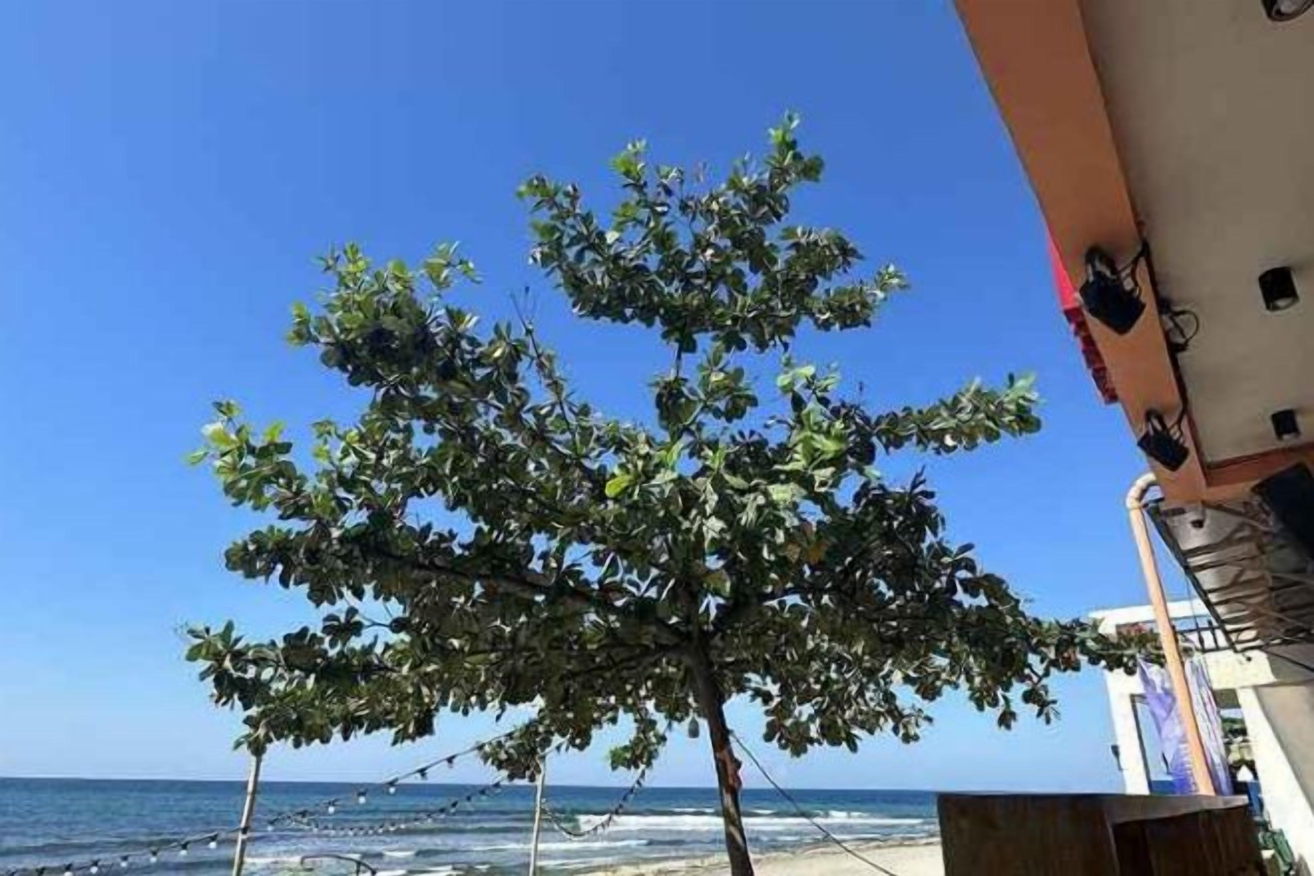 ชายหาด