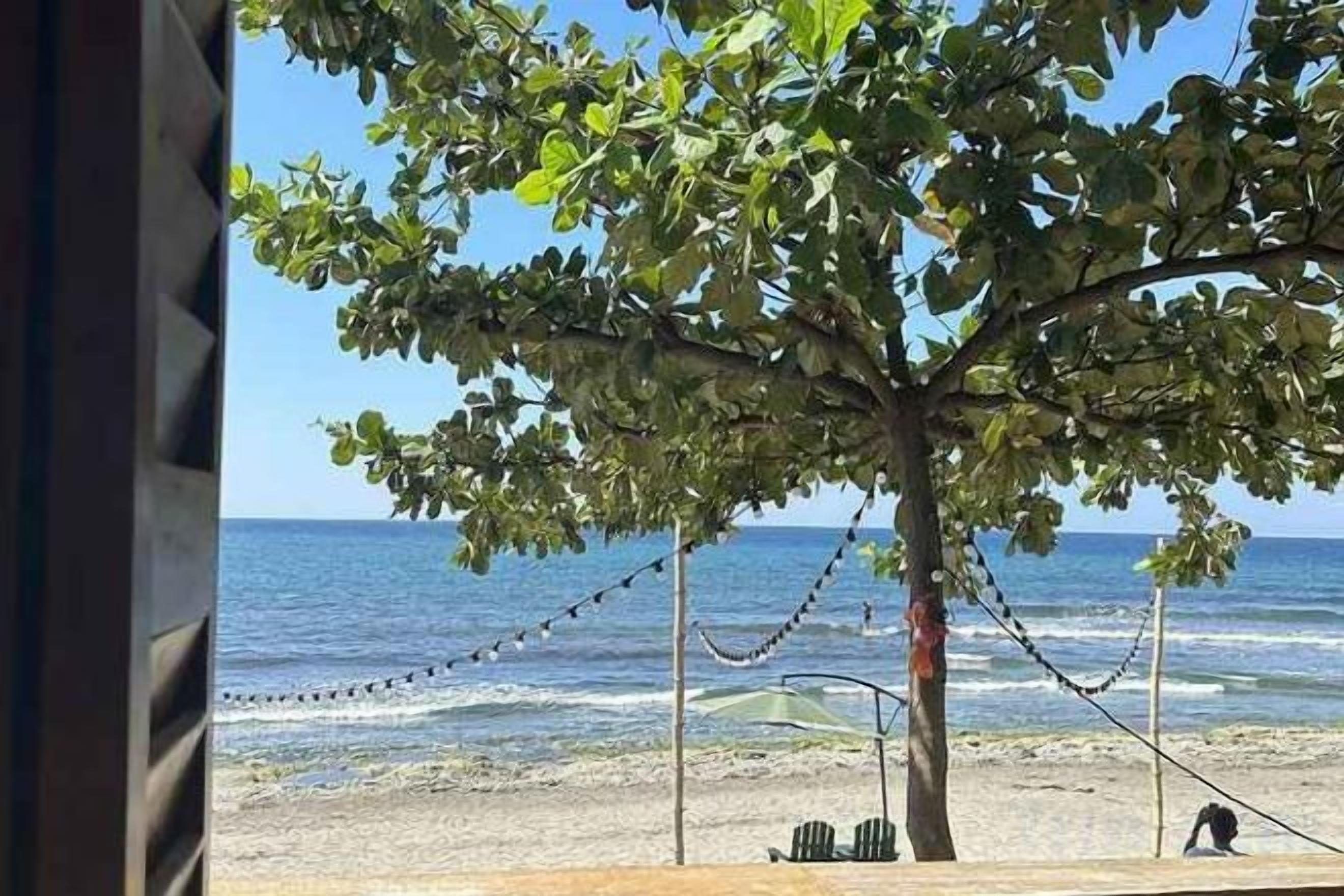 A beach scene with a tree, a chair, and the ocean.