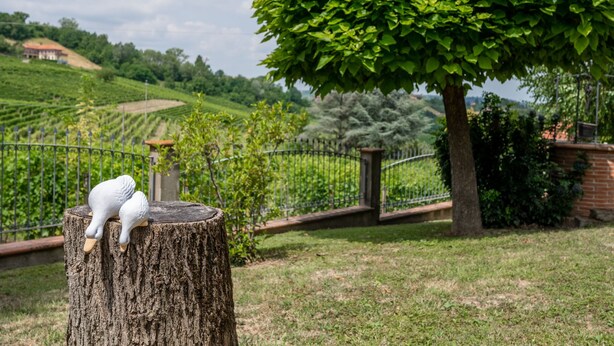 Entorn rural a l'aire lliure amb un tronc d'arbre, una escultura blanca i un viñedo tancat al fons.