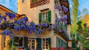 Un edificio con contraventanas verdes, un porche cubierto y enredaderas moradas con flores.