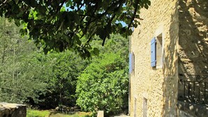 A stone pathway leading to a rustic building with blue shutters, surrounded by lush greenery and a small stream. - La Maison du Figuier by Interhome (Saint Montan)