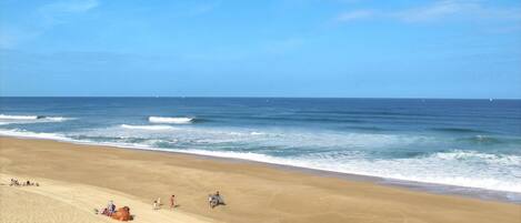 بالقرب من الشاطئ