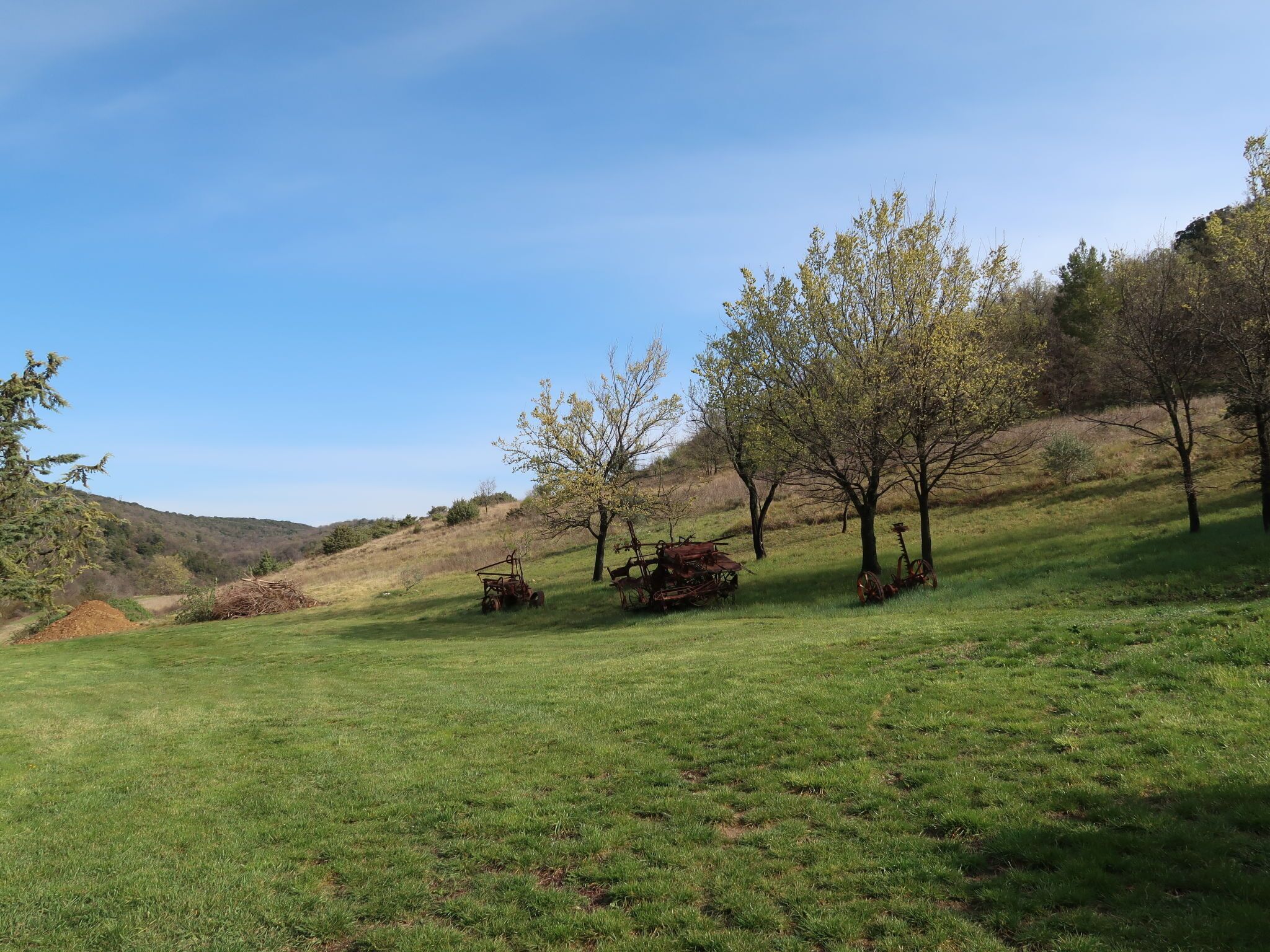 Ein grasbewachsenes Feld mit Bäumen und einem Traktor.