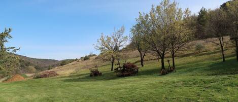 Ein grasbewachsenes Feld mit Bäumen und einem Traktor.