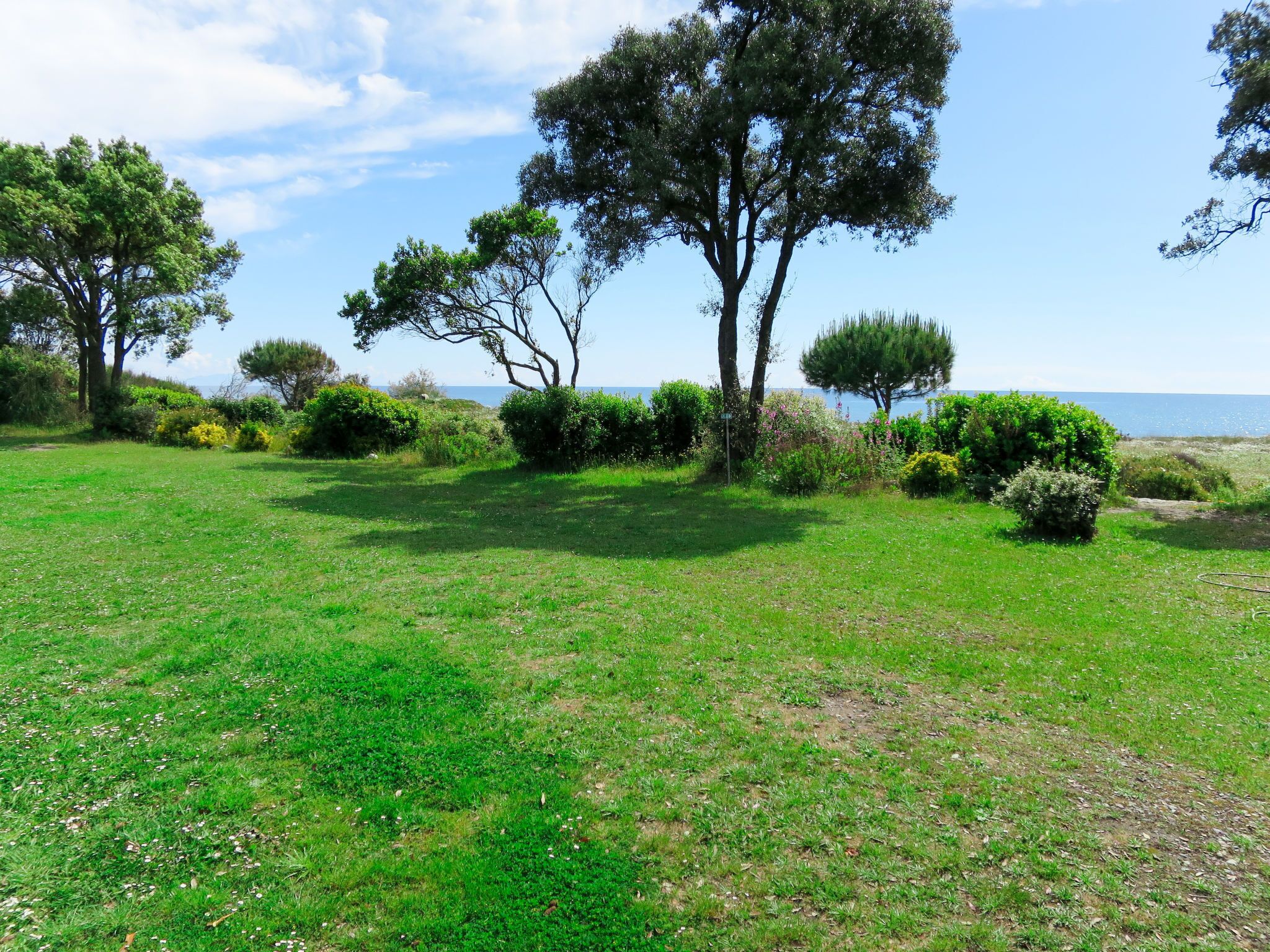 Un campo cubierto de hierba con árboles y arbustos, cielo despejado y una vista distante del mar.