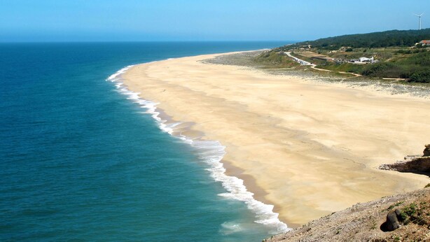 Un paysage côtier avec une plage de sable, un ciel bleu dégagé et une vue lointaine sur une éolienne.
