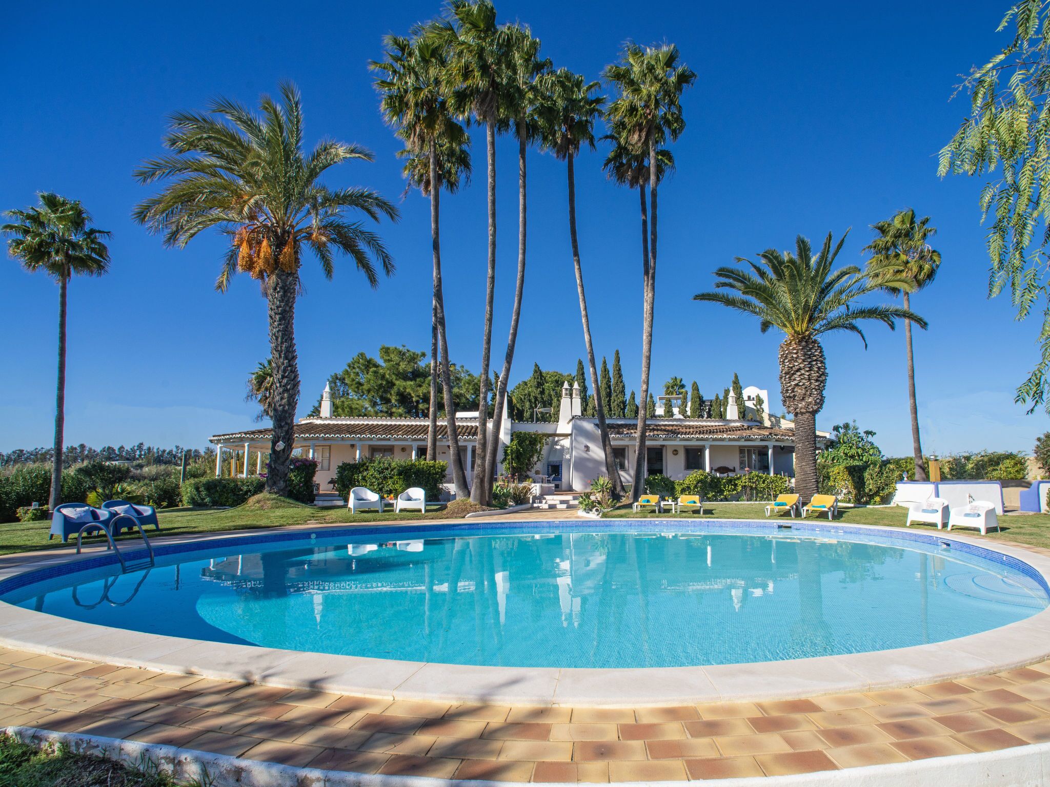 A swimming pool with lounge chairs and palm trees.