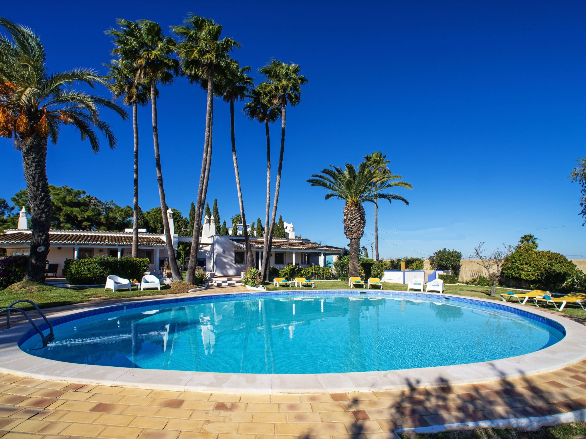 A swimming pool surrounded by palm trees, with lounge chairs and a building in the background.