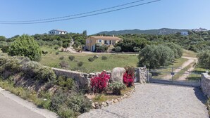 A stone pathway leading to a house surrounded by greenery and hills.