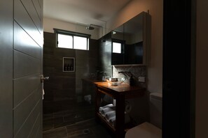 Shower, hair dryer, towels, shampoo