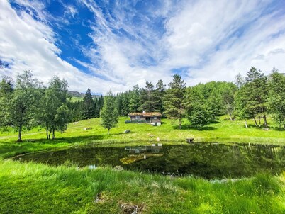 Fjellro by Interhome