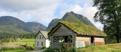 Ulkopuoli