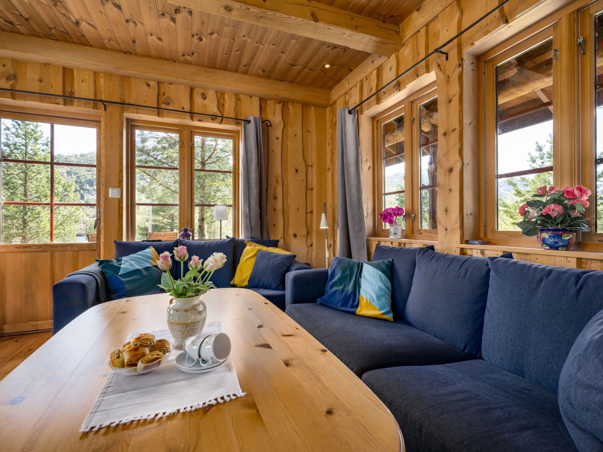 Una televisión, una chimenea, un reproductor de DVD