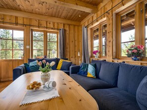 TV, lareira, DVD player